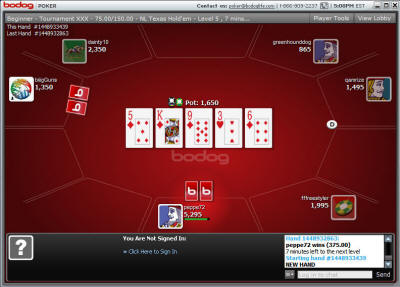Bodog Poker Tisch Screenshot