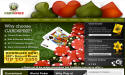 CardSpike.com Homepage